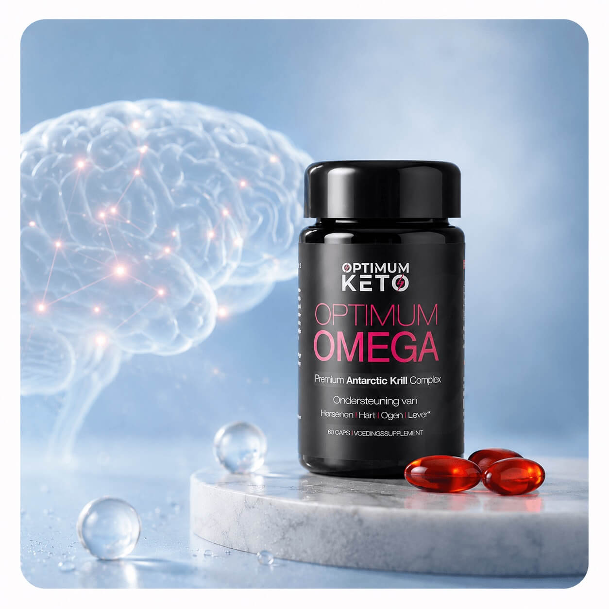 Optimum Omega en hersenen